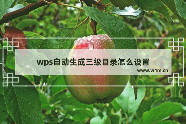 wps自动生成三级目录怎么设置