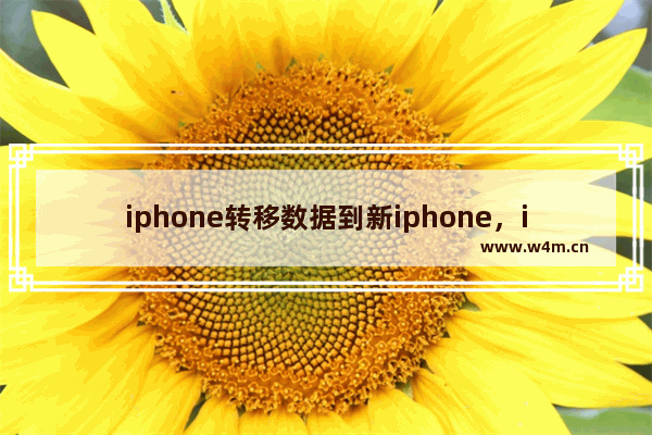 iphone转移数据到新iphone，iphone转移数据到新iphone无法安装