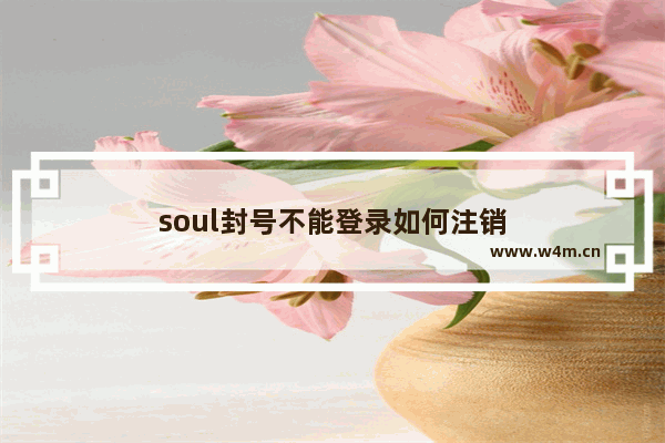 soul封号不能登录如何注销