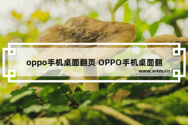 oppo手机桌面翻页 OPPO手机桌面翻页出现几个点