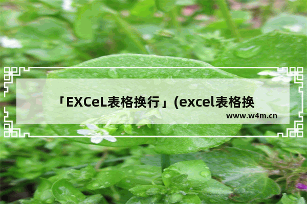 「EXCeL表格换行」(excel表格换行换不了)