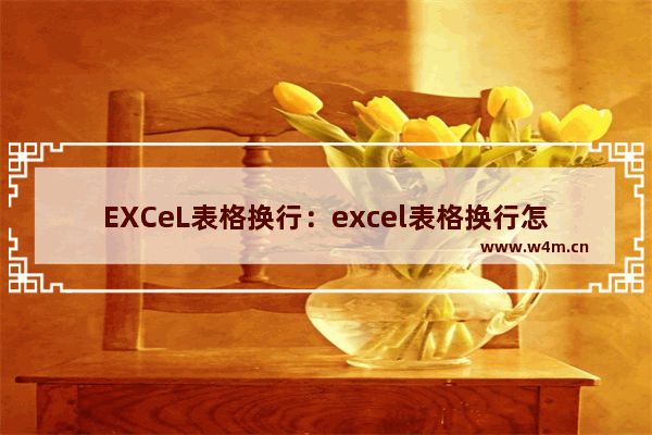 EXCeL表格换行：excel表格换行怎么弄快捷键