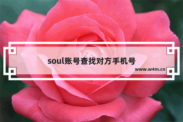 soul账号查找对方手机号