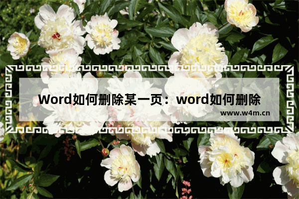 Word如何删除某一页：word如何删除某一页的页眉横线