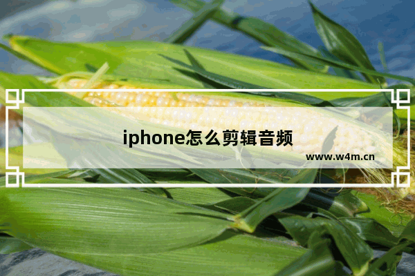 iphone怎么剪辑音频