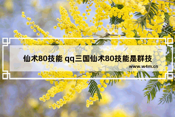 仙术80技能 qq三国仙术80技能是群技能吗?