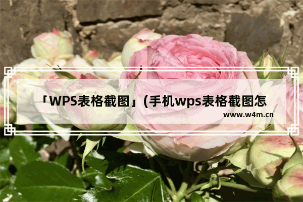 「WPS表格截图」(手机wps表格截图怎样完整的截下来)