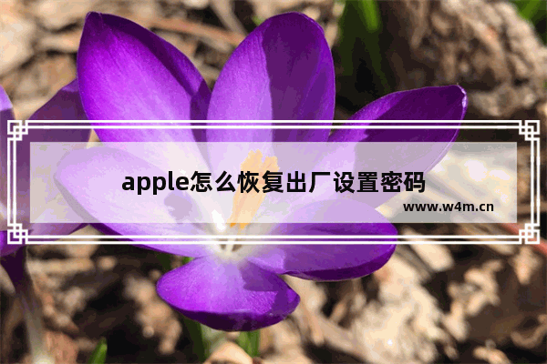 apple怎么恢复出厂设置密码