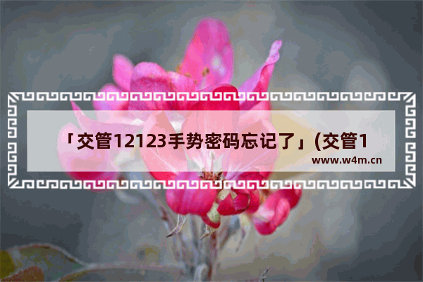 「交管12123手势密码忘记了」(交管12123手势密码忘记了怎么登陆)