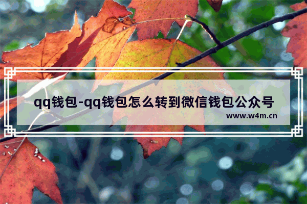 qq钱包-qq钱包怎么转到微信钱包公众号