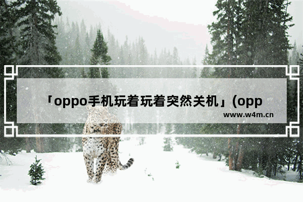 「oppo手机玩着玩着突然关机」(oppo手机玩着玩着突然关机了)