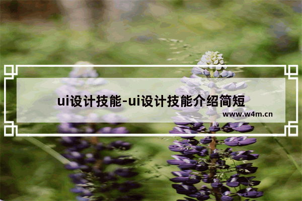 ui设计技能-ui设计技能介绍简短