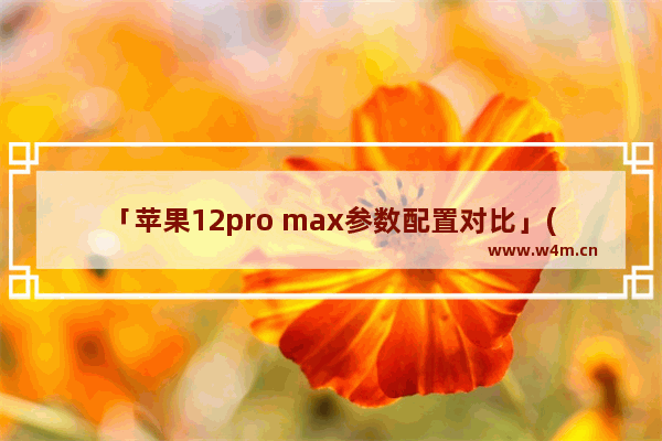 「苹果12pro max参数配置对比」(苹果12pro max参数配置对比13pro)