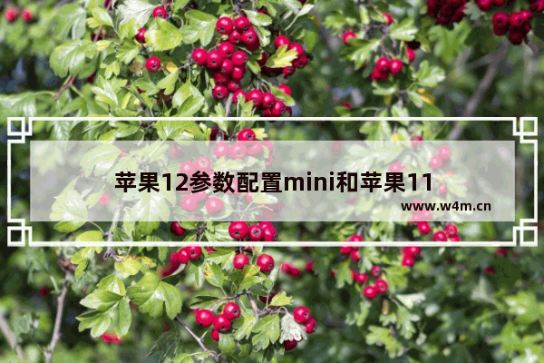 苹果12参数配置mini和苹果11