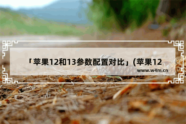 「苹果12和13参数配置对比」(苹果12和13参数配置对比图)