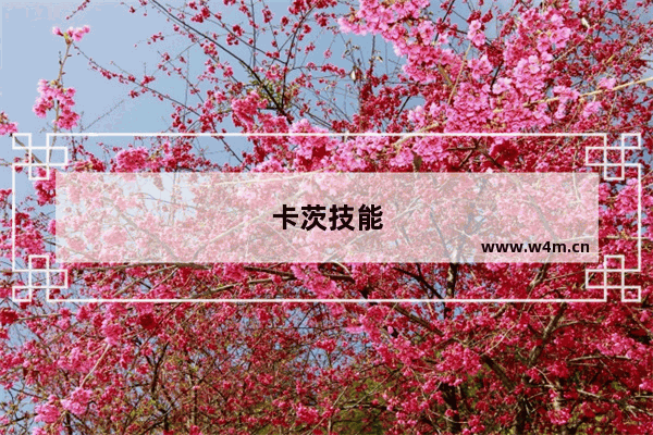 卡茨技能