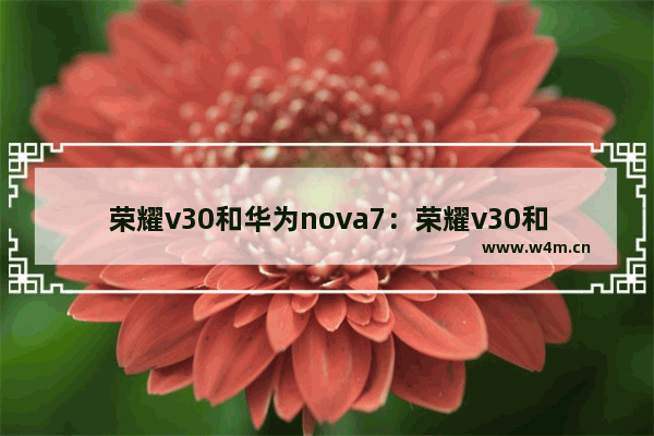 荣耀v30和华为nova7：荣耀v30和华为nova7哪个好