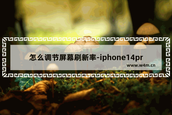 怎么调节屏幕刷新率-iphone14pro怎么调节屏幕刷新率