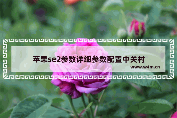 苹果se2参数详细参数配置中关村