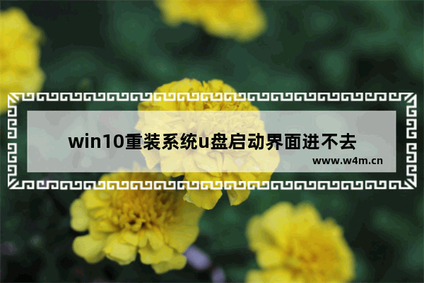 win10重装系统u盘启动界面进不去