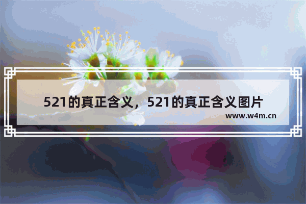 521的真正含义，521的真正含义图片