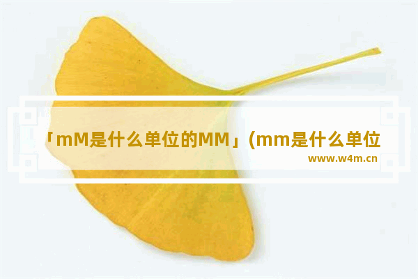 「mM是什么单位的MM」(mm是什么单位的mmm)