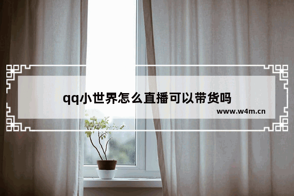 qq小世界怎么直播可以带货吗