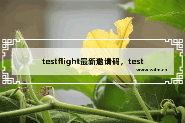 testflight最新邀请码，testflight最新邀请码大全 你懂的