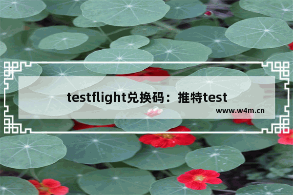 testflight兑换码：推特testflight兑换码