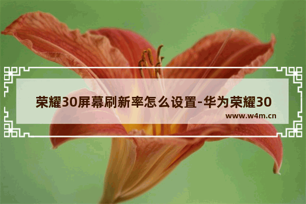 荣耀30屏幕刷新率怎么设置-华为荣耀30屏幕刷新率怎么设置