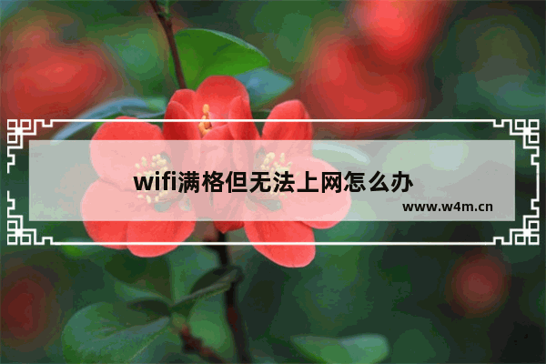 wifi满格但无法上网怎么办