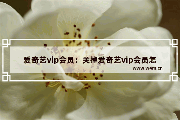 爱奇艺vip会员：关掉爱奇艺vip会员怎么关闭