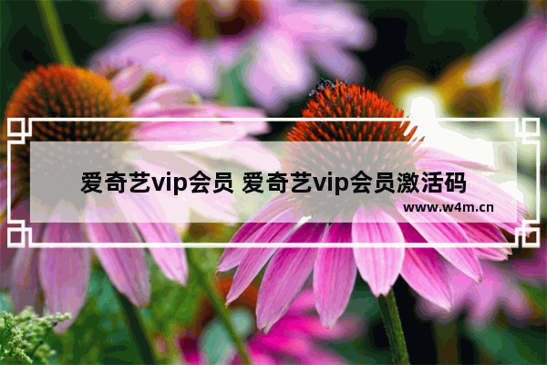 爱奇艺vip会员 爱奇艺vip会员激活码有哪些