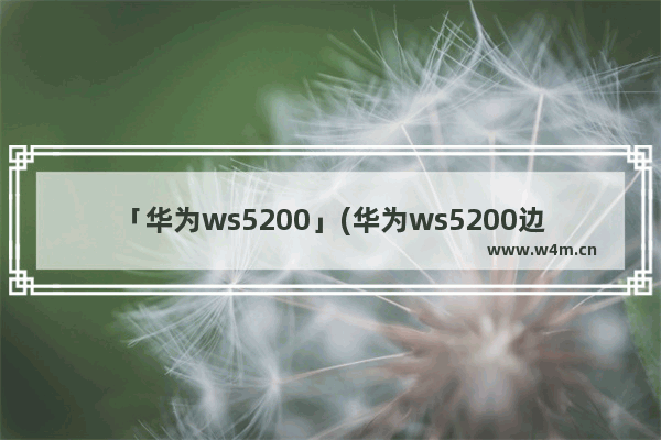 「华为ws5200」(华为ws5200边缘路由器是双频的吗)