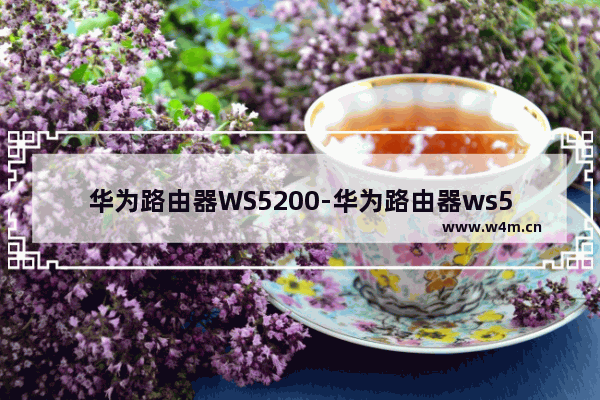 华为路由器WS5200-华为路由器ws5200增强版初始密码