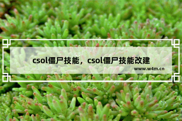 csol僵尸技能，csol僵尸技能改建