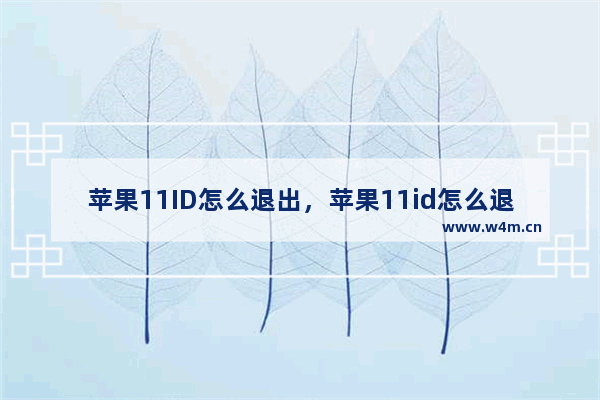 苹果11ID怎么退出，苹果11id怎么退出登录