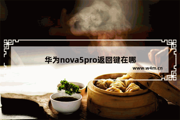 华为nova5pro返回键在哪