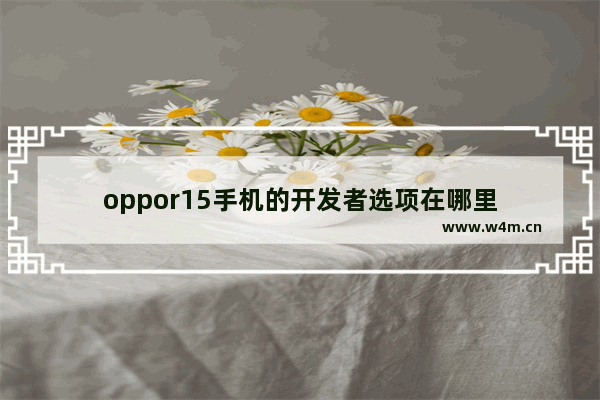 oppor15手机的开发者选项在哪里