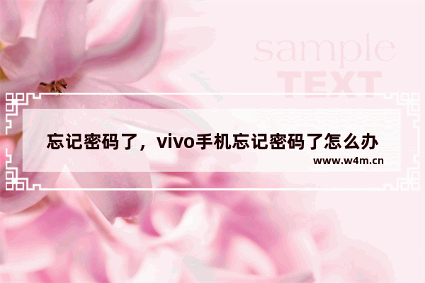 忘记密码了，vivo手机忘记密码了怎么办? 解锁