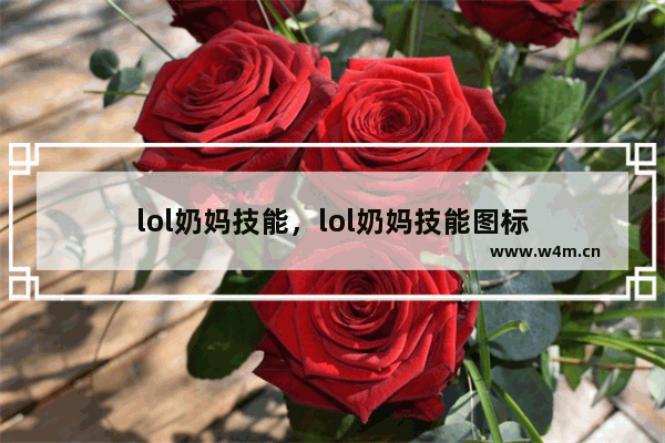 lol奶妈技能，lol奶妈技能图标