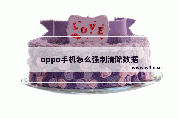 oppo手机怎么强制清除数据