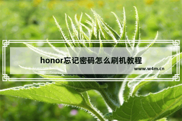 honor忘记密码怎么刷机教程