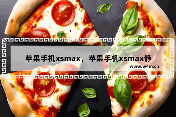 苹果手机xsmax，苹果手机xsmax静音了怎么调回来