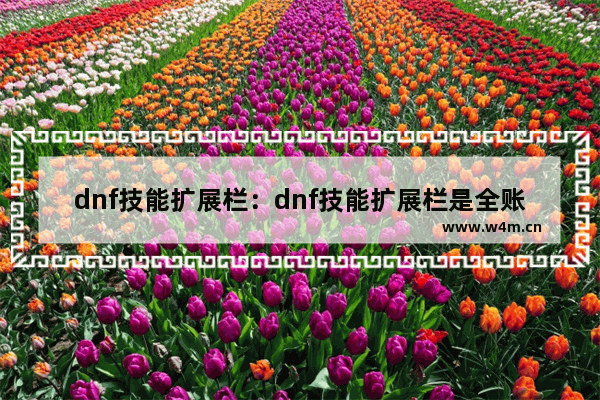 dnf技能扩展栏：dnf技能扩展栏是全账号嘛