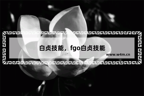 白贞技能，fgo白贞技能