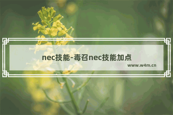 nec技能-毒召nec技能加点