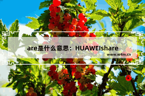 are是什么意思：HUAWEIshare是什么意思