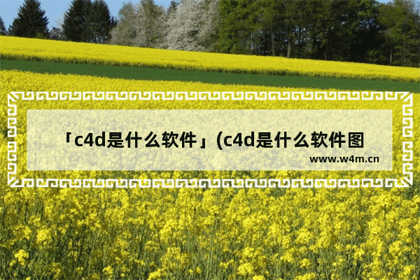 「c4d是什么软件」(c4d是什么软件图标)