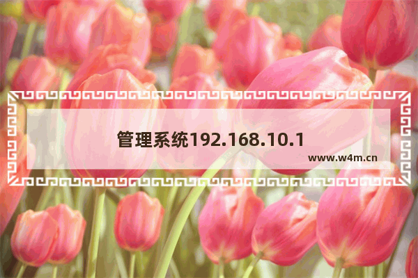 管理系统192.168.10.1